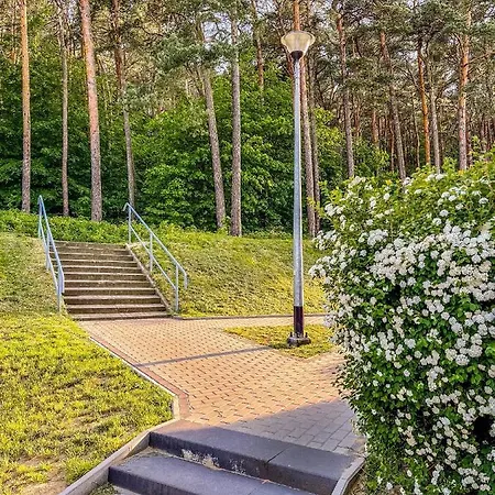 Wyjatkowy Przy Lesie By Renters * グディニャ